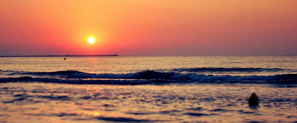 Hegyes-Horv�th Imola Photography